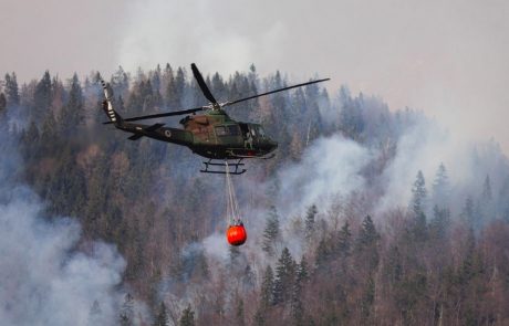 Zagorel nedostopen gozd v okolici Debnega vrha v Ljubljani