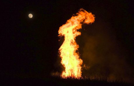 Požar na goriškem Krasu pod nadzorom, zaradi burje grozijo vnovični izbruhi