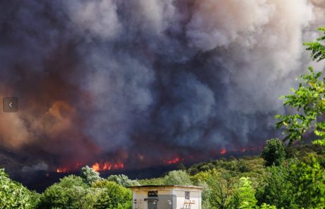 Požar na Krasu: ponoči na terenu več kot 800 gasilcev, a nevarnosti še ni konec
