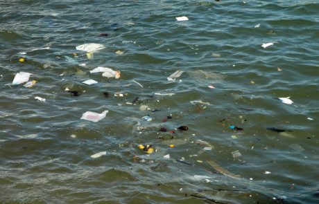 Slovensko morje onesnaženo z odpadki