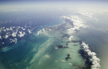 Bodo koralni grebeni Floride kmalu izginili?