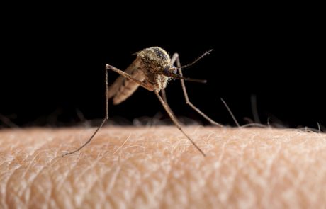 Nas bodo proti komarjem lahko kmalu varovala posebna oblačila?