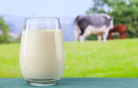 Marca v Sloveniji odkupljenih rekordnih 50,7 milijonov kilogramov mleka