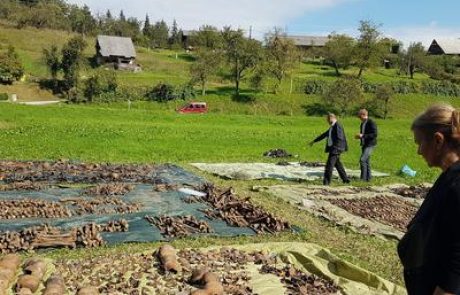 Na Štajerskem našli več kot 400 trupel