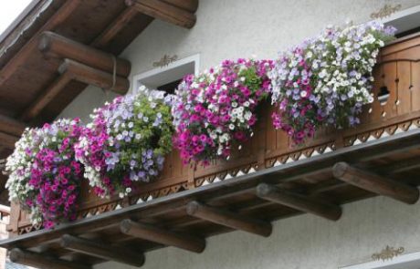 V hišo čez balkon in do rumene kovine