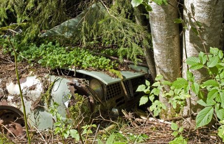 Ukraden avto našli karamboliran v Stražunskem gozdu