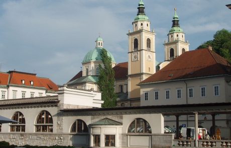 Sklad kmetijskih zemljišč in gozdov s pritožbo na sodbo o milijonski odškodnini za ljubljansko nadškofijo