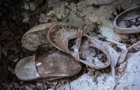 [FOTO in VIDEO] Černobil trideset let kasneje – jedrsko mesto duhov