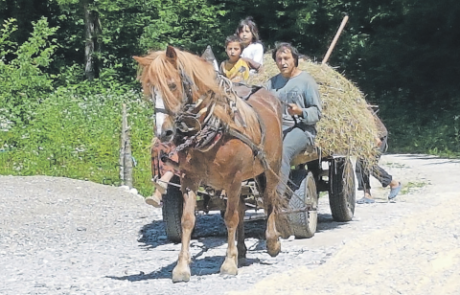 Otroke lovili s sekiro, barako so jim zažgali