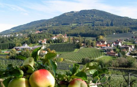 Partnerji iz Slovenije in Avstrije za inovativno turistično ponudbo v regiji