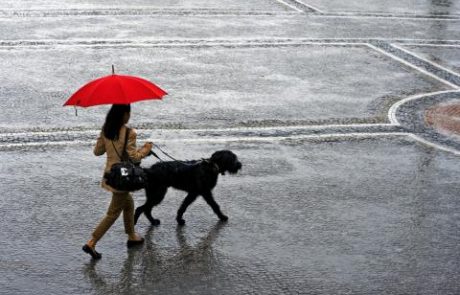 Ako prvega maja dežuje, dobro let'no oznanjuje