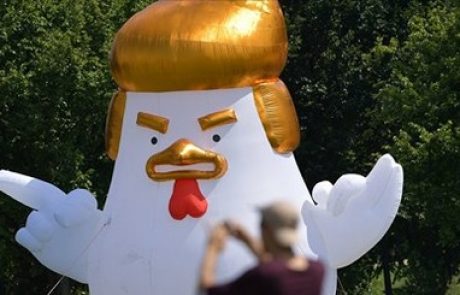 Glavna atrakcija pred Belo hišo: Piščančji balon v podobi Trumpa