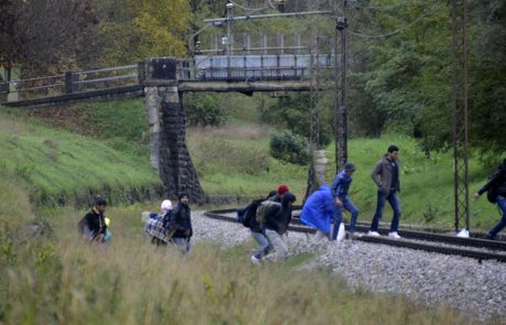 Pakistanec in Nigerijec poskušala v Slovenijo pretihotapiti več tujcev