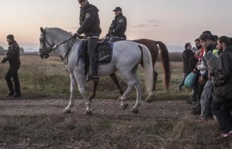 Koprski policisti prijeli 26 nezakonitih migrantov