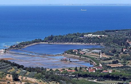 Terme Krka znižale in zmanjšale načrtovano pozidavo