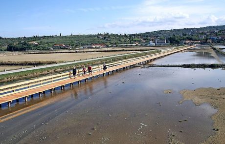 V Sečoveljskih solinah o odprtih vprašanjih