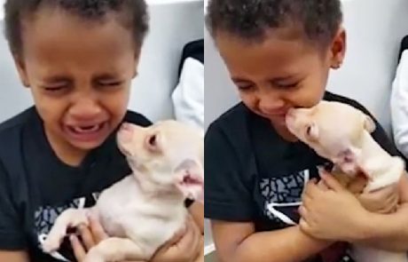 Mama je sinu podarila malo psičko in fantove solze sreče so ganile svet (video)