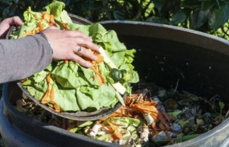 Bolnišnice in domovi za starejše letno zavržejo skoraj 9000 ton hrane