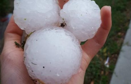 VIDEO: Toča pobila ovce