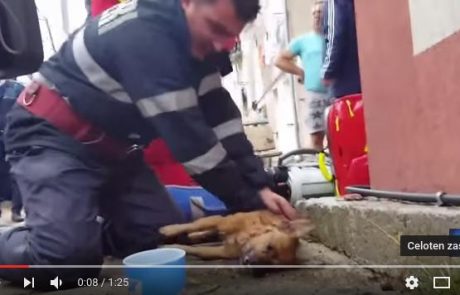 Ta neverjetna gesta gasilca postala internetna senzacija: Z umetnim dihanjem rešil psa (video)