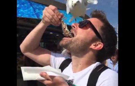 Hotel je pojesti ribo, a zgodilo se je nekaj presenetljivega (video)
