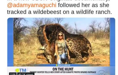 Ženska, ki je zaradi svojega pobijanja afriških živali prejela celo smrtne grožnje, ne namerava nehati s svojim početjem