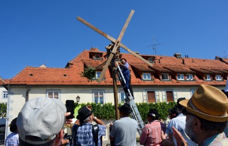 FOTO: Pred Hišo Stare trte je ponovno zaklopotal klopotec