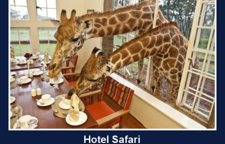 Prava “safari postrežba”