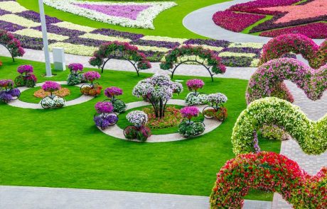 Čarobne fotografije največjega cvetličnega parka na svetu