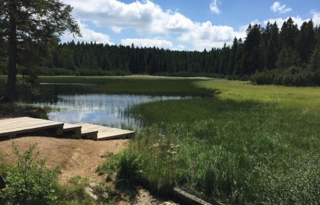 FOTO: Mariborski študenti rešujejo Črno jezero