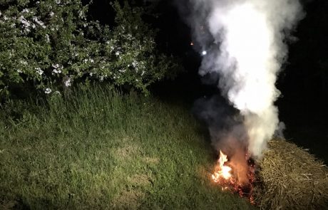 FOTO in VIDEO: Ponekod kurili med sadovnjaki, da bi zmanjšali posledice pozebe