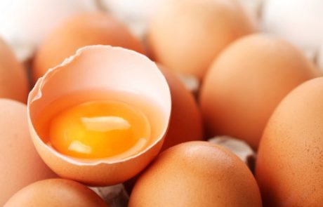 Jajca danes veliko bolj zdrava kot nekoč