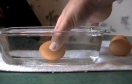Na ta preprost način lahko preverite, kako stara so jajca, ki ste jih kupili v trgovini