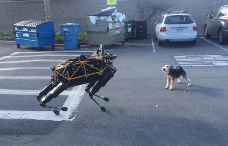 Kaj se zgodi, ko kuža prvič vidi robotskega psa (video)
