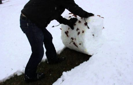 Kako skidati sneg BREZ lopate!