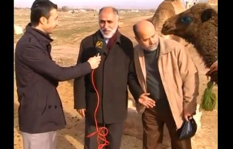 VIDEO: Intervju prekinila potrebna kamela