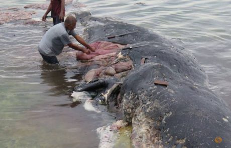V kitu našli šest kilogramov smeti: med drugim par gumijastih natikačev