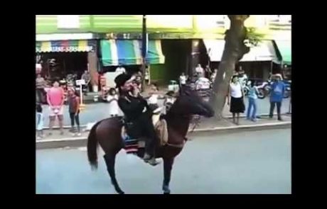VIDEO: Konj naredil salto…