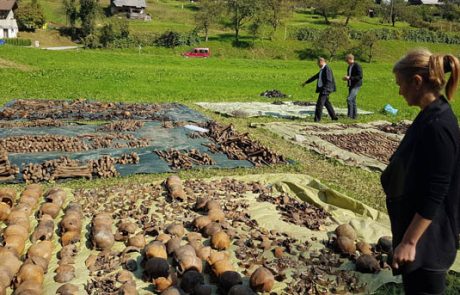 V Košnici izkopali več kot 400 žrtev komunističnega nasilja