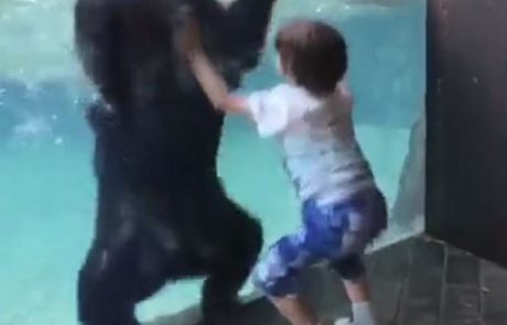 Deček je skakal od veselja, ko je videl medveda: Ljudje ne morejo verjeti, kaj je naredil on