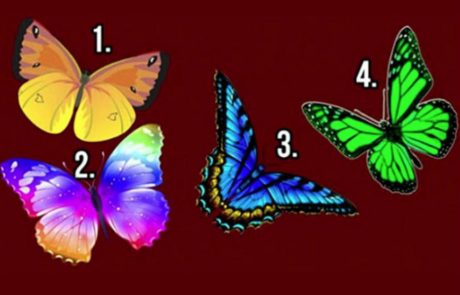 Vsak nosi posebno sporočilo: Izberite metulja in odkrijte skrivnosti svoje duše