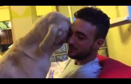 Najbolj žalosten kuža na svetu prosi za odpuščanje (video)