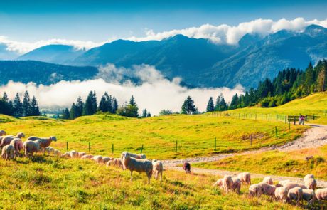 Daily Mail: Slovenija je ena 10 najboljših eko turističnih destinacij na svetu