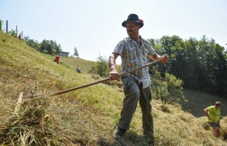 Pet nujnih ukrepov za razvoj kmetijstva: Tudi ukinitev Sklada kmetijskih zemljišč