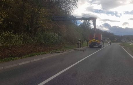 FOTO: Veter ves dan povzročal težave po Mariboru in okolici