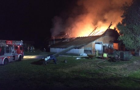 FOTO: Požar uničil gospodarsko poslopje, poškodoval gasilca in ubil več prašičev