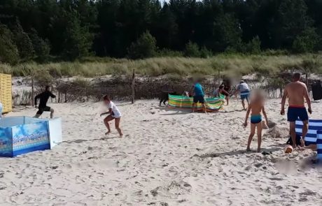 Kopalce na plaži napadel pravi pravcati pokemon (video)