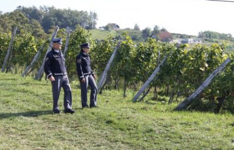 FOTO: Policija svari: Med trgatvijo na pozabite na …