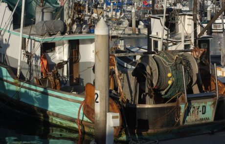 Hrvaški ribiči dobili podporo hrvaške vlade za ribolov do sredine Piranskega zaliva
