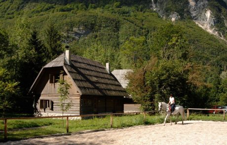 Kar 100 držav na svetu manjših od Slovenije